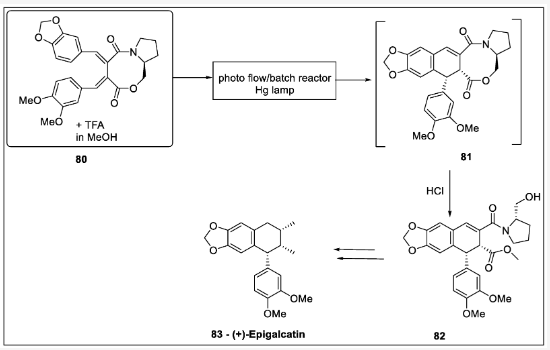 Scheme 24. (+)-Epigalcatin光催化制備